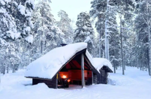 FinlandReport Com