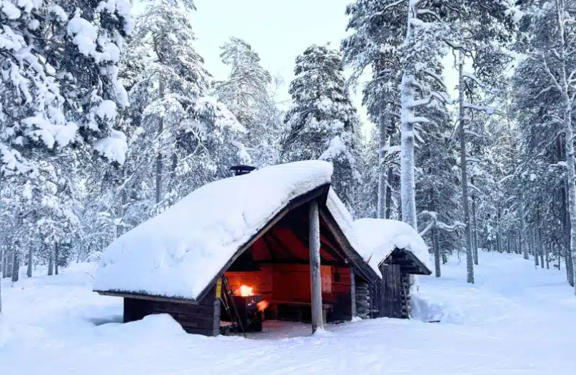 FinlandReport Com
